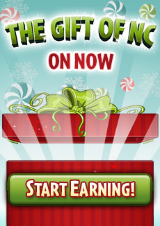 https://images.neopets.com/homepage/promo/2020/mall/2020_giftofnc.jpg