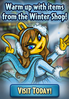 https://images.neopets.com/homepage/promo/2020/mall/2020_wintershop.jpg