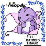https://images.neopets.com/images/banned_image.gif