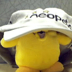 https://images.neopets.com/images/chia_hat.gif