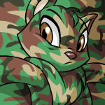 https://images.neopets.com/images/frontpage/camouflage_day_2005.gif