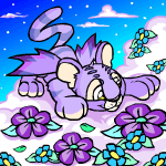 https://images.neopets.com/images/frontpage/faerie_kougra.gif