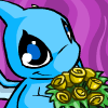 https://images.neopets.com/images/msn_buddy/msn_friendship_yellowroses.gif