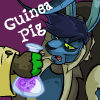 https://images.neopets.com/images/msn_buddy/msn_guineapig.gif