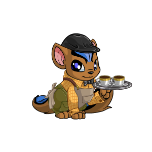 https://images.neopets.com/images/nf/barista_xweetok.png