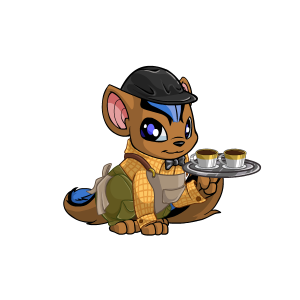 https://images.neopets.com/images/nf/barista_xweetok_outfit.png