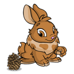 https://images.neopets.com/images/nf/cybunny_fallpinecone.png