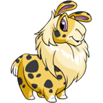 https://images.neopets.com/images/nf/gnorbu_spotted_happy.png
