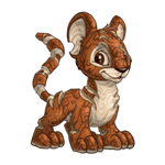 https://images.neopets.com/images/nf/kougra_woodland_happy.png