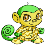 https://images.neopets.com/images/nf/mynci_bdayclothes.png