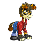 https://images.neopets.com/images/nf/ogrin_rebeloutfit.png