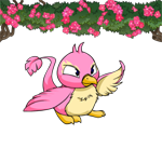 https://images.neopets.com/images/nf/pteri_pinkflowergarland.png