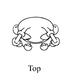 https://images.neopets.com/images/nf/topview.gif