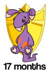 https://images.neopets.com/images/shields/17mth.gif