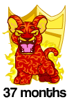 37 Months: A roaring red, fire kougra infront of a golden user shield