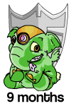https://images.neopets.com/images/shields/9mth.gif