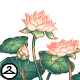Thumbnail for Among The Changing Lotus Flowers Trinket