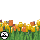 Thumbnail for Pretty Yellow Tulip Foreground