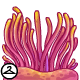 Thumbnail for Surrounded by Sea Anemone