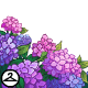 Thumbnail for Plentiful Hydrangea Flowers Foreground