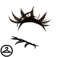 Full Lashes Extension