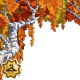 Thumbnail for Fall Birch Trees Foreground