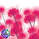 Thumbnail for Field of Spider Lilies Background Item