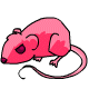 Almost Gummy Rat (Strawberry)