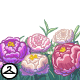 Thumbnail for Pretty Peonies Foreground