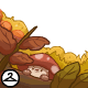 Thumbnail for Mushroom Feepits Foreground