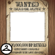 Thumbnail for Wanted Poster Frame