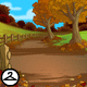Autumn Country Road Background