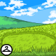 Field of Grass Background
