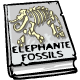 Elephante Fossils
