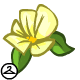 Thumbnail for Kougra Island Flower