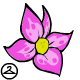 Thumbnail for Mystery Island Aisha Flower