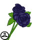 Regal Warrior Techo Black roses