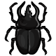 Large Black Collectable Scarab