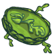 coi_maractite_seaweaweed