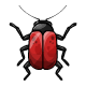 Simple Red Collectable Scarab