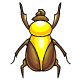 Basic Yellow Collectable Scarab