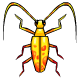 Greater Yellow Collectable Scarab