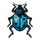 Spotted Blue Collectable Scarab