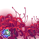Thumbnail for Field of Spider Lilies Foreground