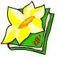 Daffodil Diary