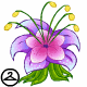 Thumbnail for MME8-S5: Flower Bodysuit