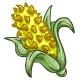 Thorn on the Cob