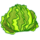 Fresh from the Patch, these green cabbages are not only healthy but they are tasty too.
