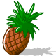 Organic Pineapple - r70