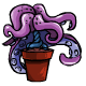 Potted Tentacles - r101
